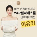 금오약국 | 동면필라테스 양산시 재활 체형교정 Y&amp;P 필라테스 가격 영업시간 소개