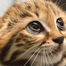 동광주약국 이미지