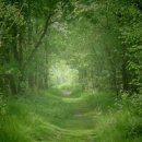 자연동산 이미지