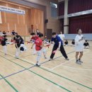 스타태권도스쿨 이미지