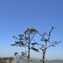 조령산(1,017m) - 경북 문경, 충북 괴산 이미지