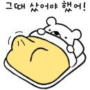 시크코스메틱 이미지