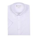 까메리노 이미지