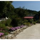 반딧불 펜션 이미지