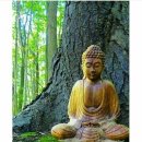 금 강  2 이미지