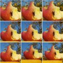 연진농장 이미지