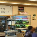 백년쌈밥식당 이미지