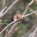 이시돌쉼터 이미지