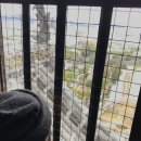 지성목장 | [고베 히메지]오사카 근교 히메지 당일치기 코스 추천(히메지성, 코코엔) + 구글평점 1점대 라멘집에서...