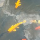 광주여자대학교 교육대학원 이미지