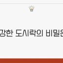 새벽(주) 이미지