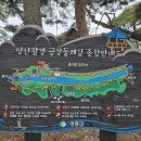 금강김밥 이미지