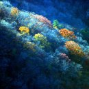 지리산노을 이미지