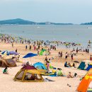 해수욕장사업소 이미지