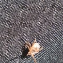 신낙남정맥 2구간 부산 보배산(보개산 寶蓋山 480) 2026. 07. 11.