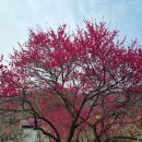 3월 13일 금요일 서경방 출석부 이미지
