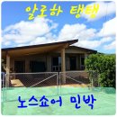 알로하민박 이미지