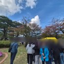 봉계초등학교 | 2025년 김천 김밥축제 방문 후기