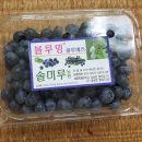 솔미농원 네이버블로그
