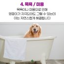 가평동물병원 이미지