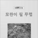 필전자 이미지