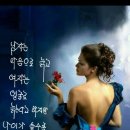 장일남컬렉션 이미지