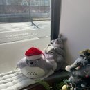 토토로초밥 이미지