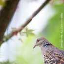 현대산업아파트 이미지