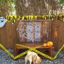 십일월오일 이미지