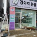 퍼피루미 옥정점 이미지