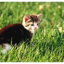 수원-1657 이미지