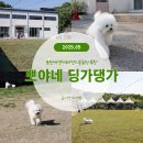 뽀야네딩가댕가 이미지