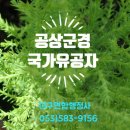김덕수 행정사사무소 이미지