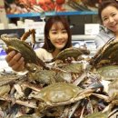 풍년마트 이미지