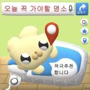 제주지방합동청사 제주청사관리소 | 도남동맛집 빽다방 빵연구소 제주합동청사점