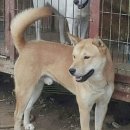 하늘가축병원 이미지