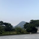 "잘 관리된" 느낌의 청와대 사랑채 기념품샵 방문후기