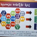 힐스템찜질생활건강