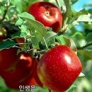 주식회사 와요 이미지