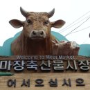 서문축산물