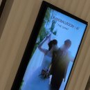 W_본식 후기(첫 식 일정, 선원판, 2부 입장, 식순, 하고싶은 거 다 한 결혼식)