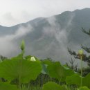 트럼펫연주 이미지