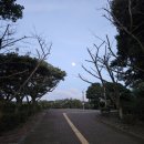 타이어테크 서귀포점 이미지