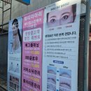 뷰티더아리