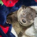 도청동물병원 이미지