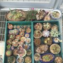 서천목장 이미지