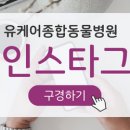 유케어종합동물병원 이미지