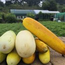 반월농장 이미지