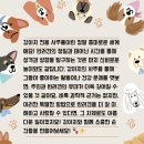 선녀와 강아지 이미지