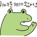 다다덴탈 이미지